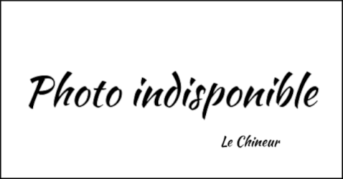 Le Chineur