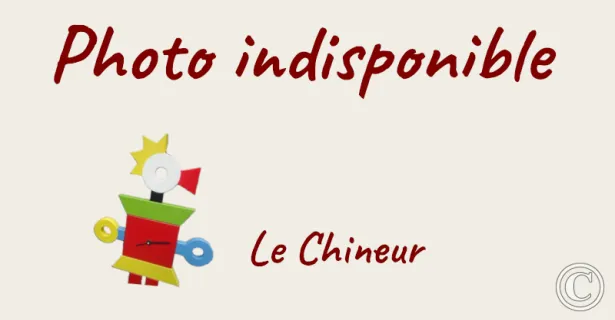 Le Chineur